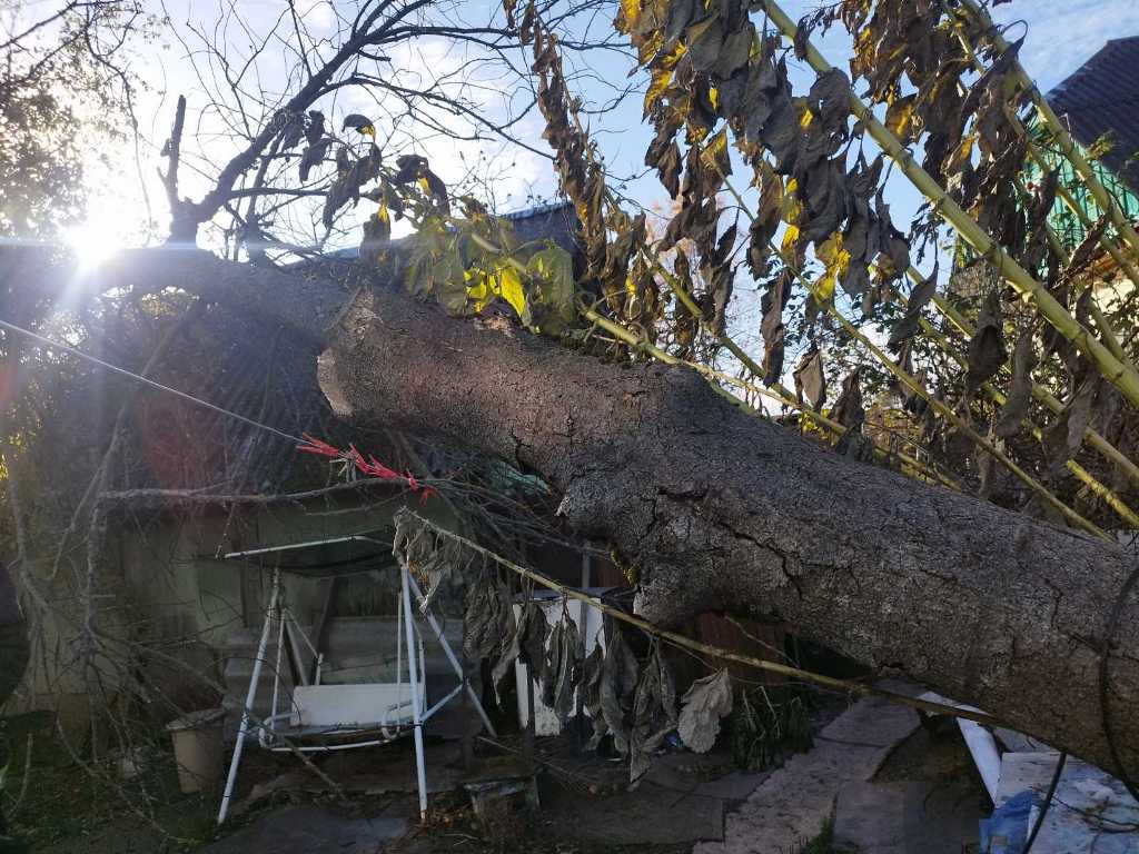 Последствия непогоды в Могилевской области. 01-03.11.24