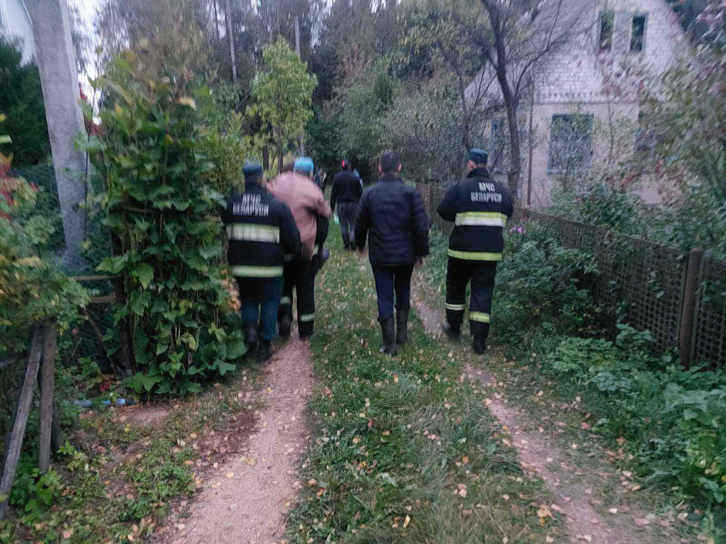 За прошедшие сутки три человека заблудились в лесах Могилевской области:  всех нашли спасатели