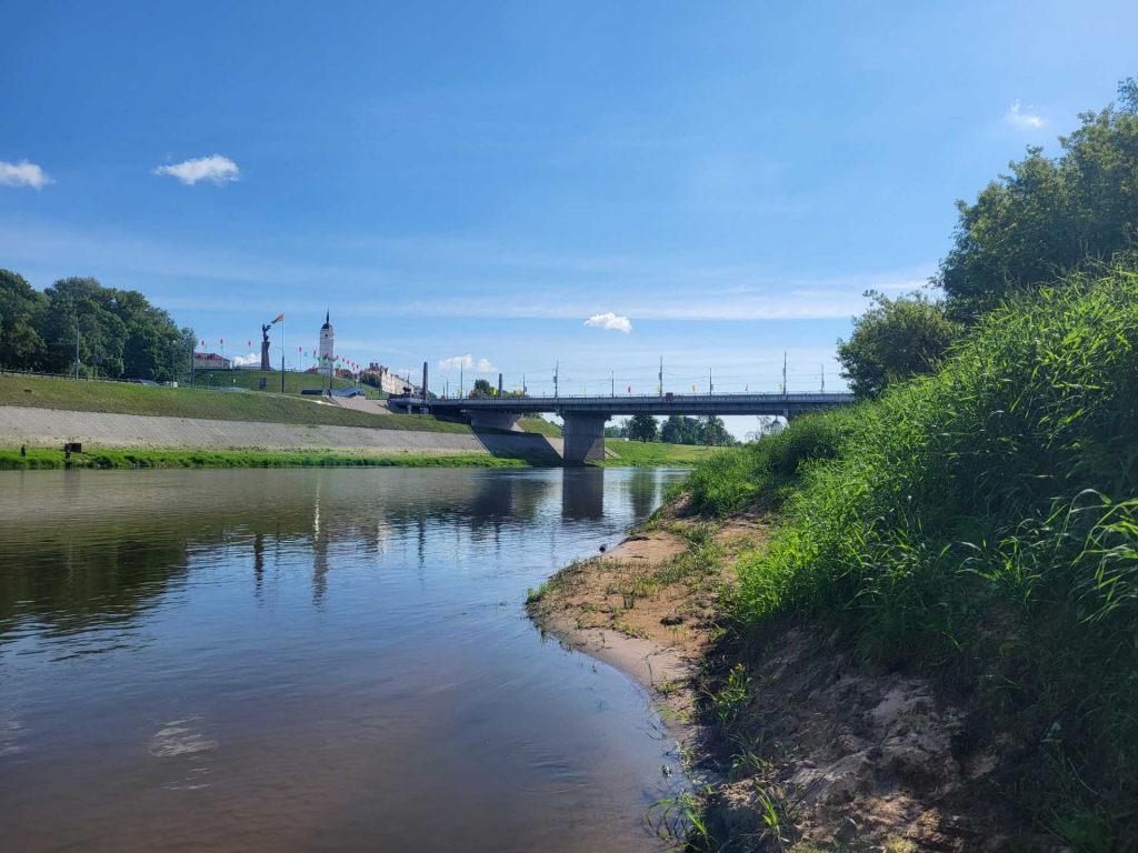 В Могилеве мужчина прыгнул с моста: его спас очевидец