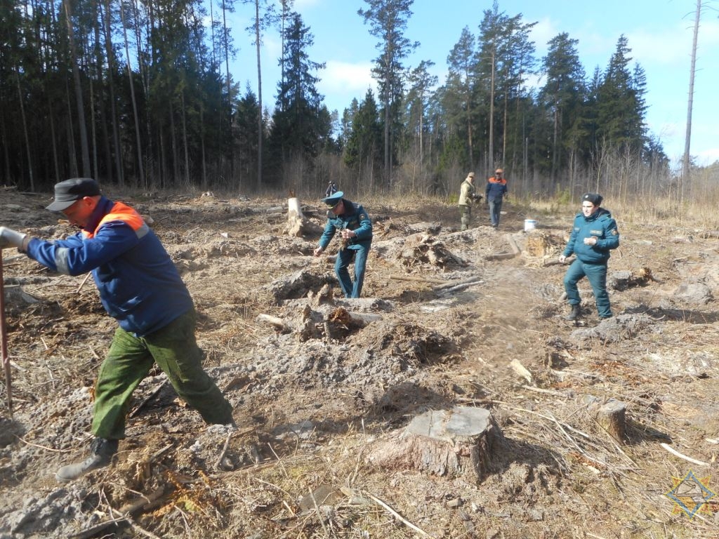 Неделя в лесу.